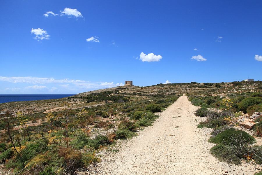 Pista de tierra hacia la torre de Santa María, en Comino